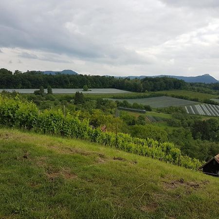 Ferienwohnung Burgblick Im Neuffener Tal Mit Sauna Und Wallbox Frickenhausen  Kültér fotó