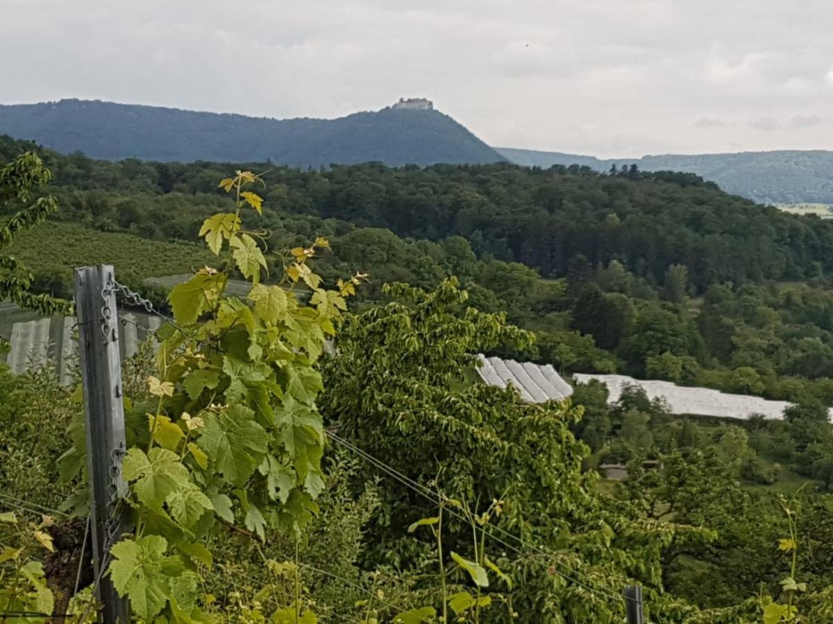 Ferienwohnung Burgblick Im Neuffener Tal Mit Sauna Und Wallbox Frickenhausen  Kültér fotó