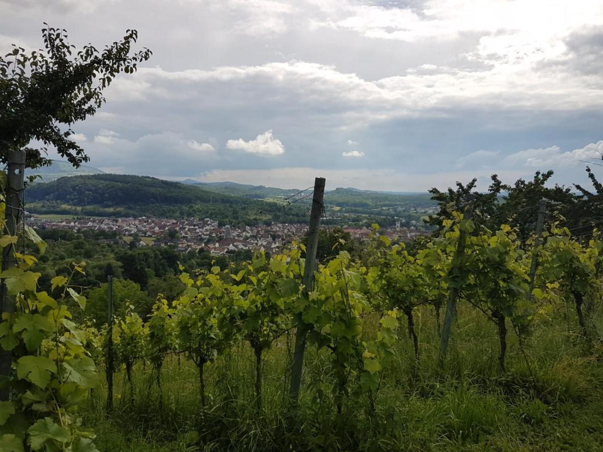 Ferienwohnung Burgblick Im Neuffener Tal Mit Sauna Und Wallbox Frickenhausen  Kültér fotó